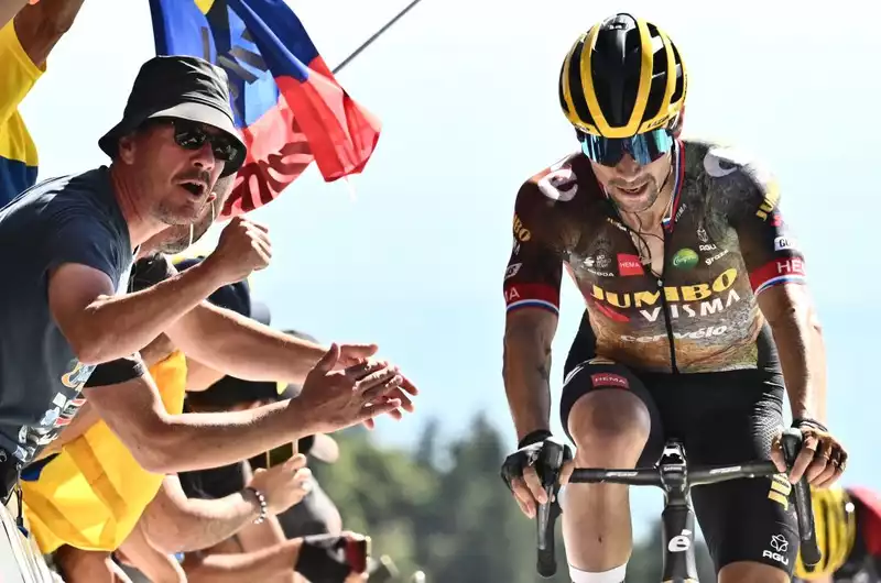 Primoš Roglic Abandons Tour de France to Heal Crash Injuries