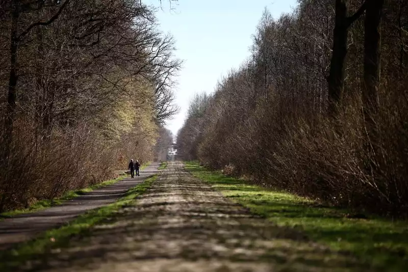 Paris-Roubaix cobblestones pass organizer inspection, dry weather expected