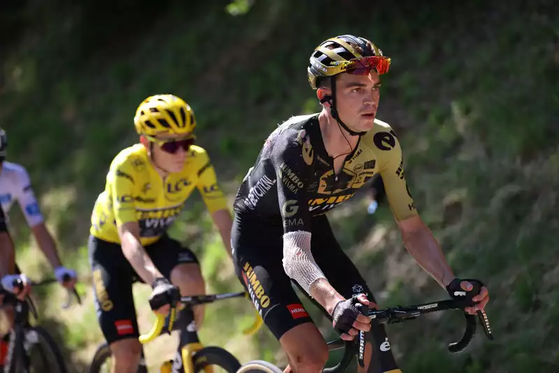 Jumbo Visma Ready to Sue Roadside Fans for Causing Tour de France Crash