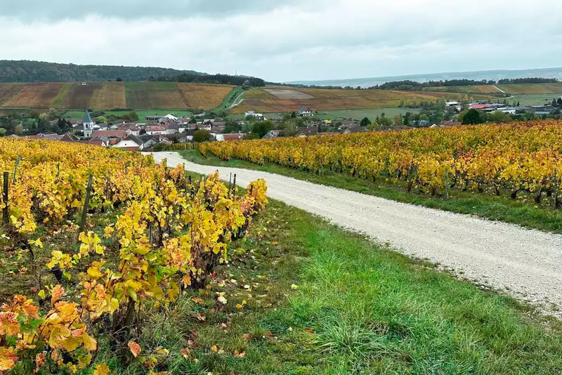 "We had to come up with something clever" – Why the 2024 Tour de France has a gravel stage